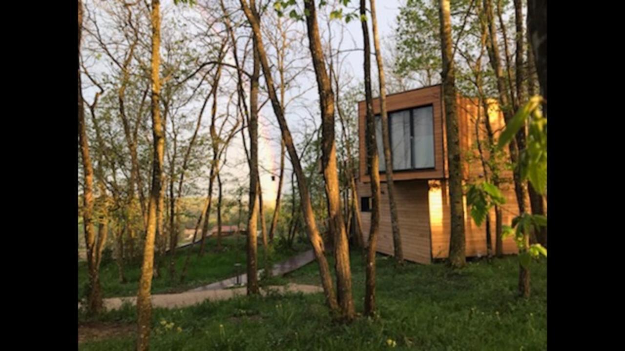 Ville-sur-Illon Les Cocons De L'Illon B&B 외부 사진